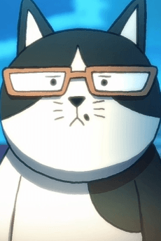 Miaocai