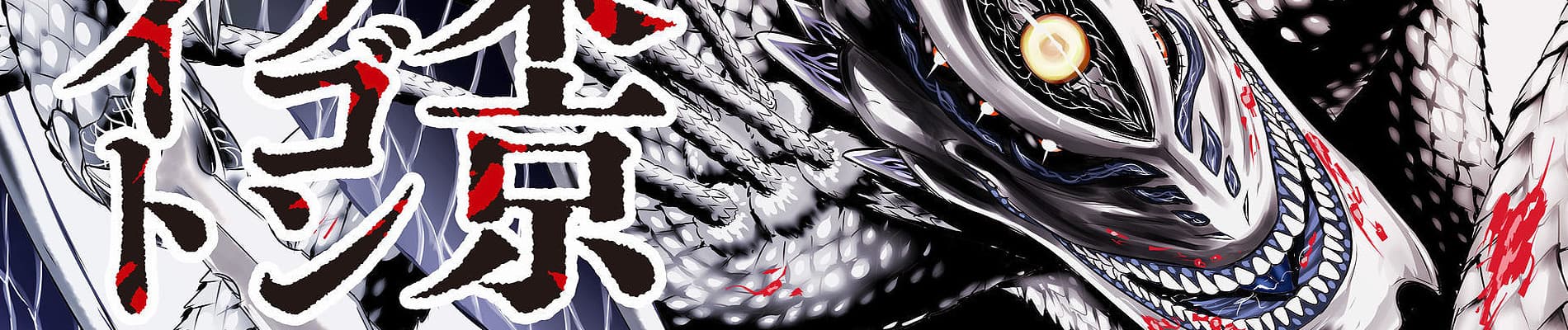 Tokyo Dragon Night