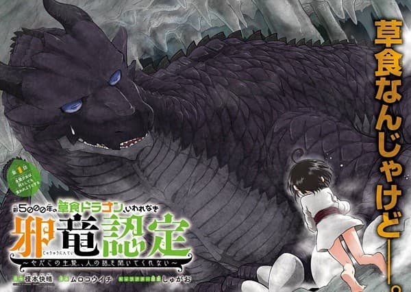 Yowai 5000-nen no Soushoku Dragon, Iwarenaki Jaryuu Nintei