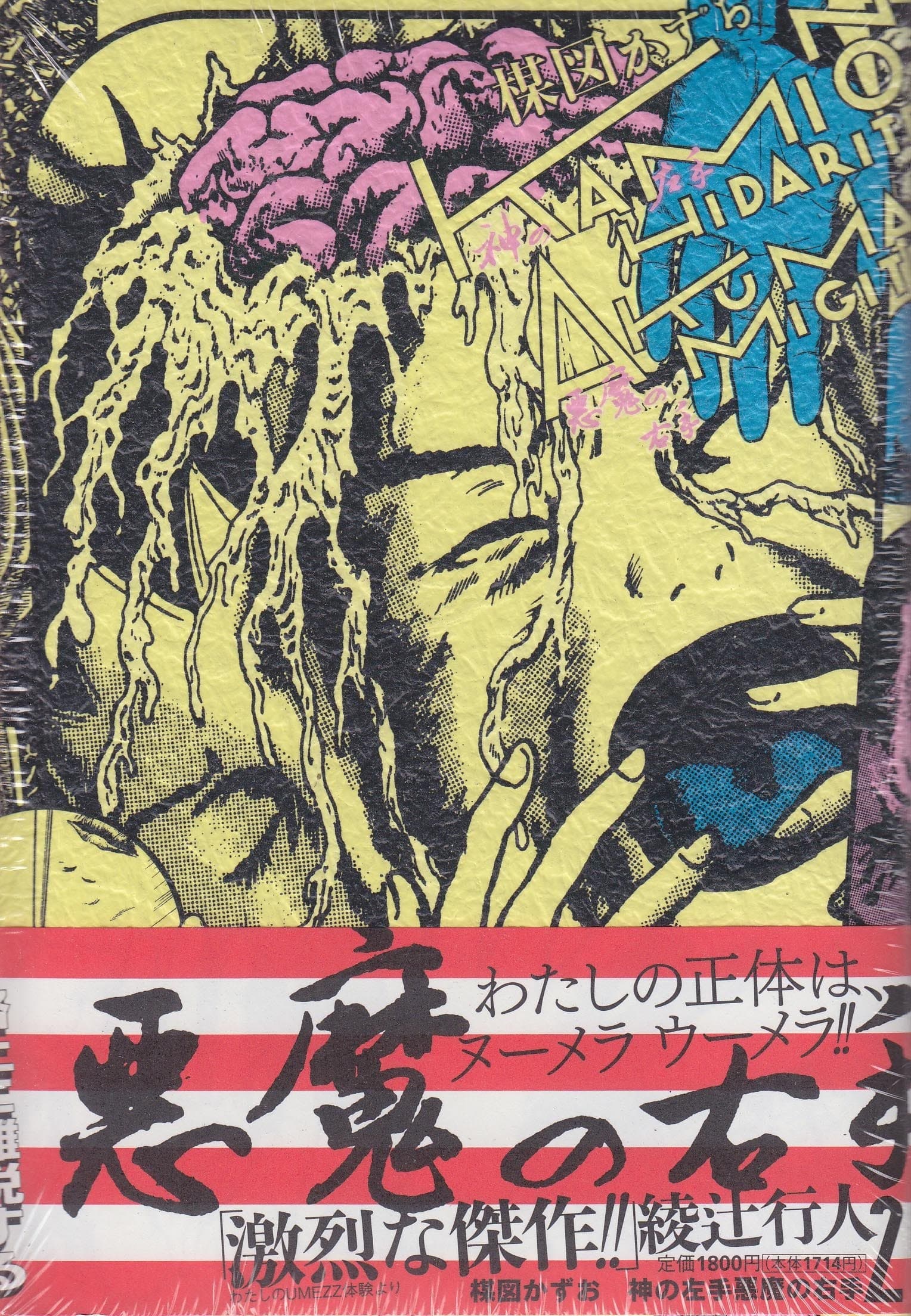 Kami no Hidarite Akuma no Migite