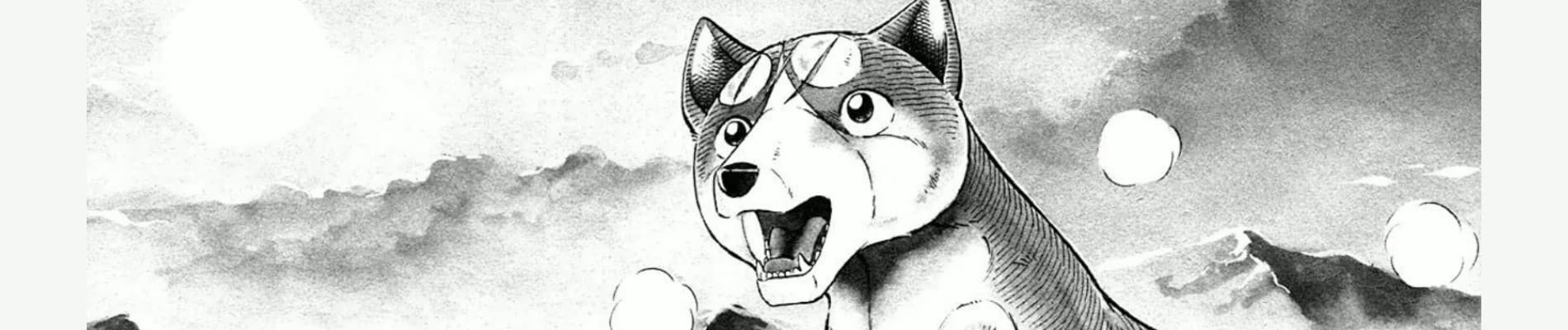 Ginga Nagareboshi Gin Shin Gaiden
