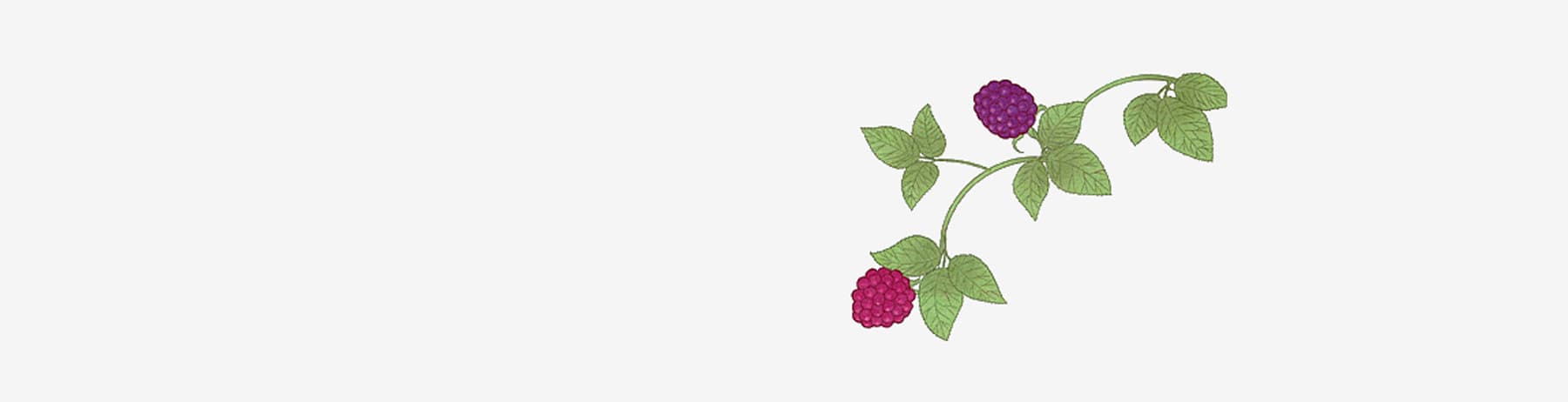 Berry Berry Berry A